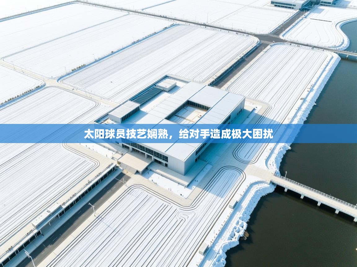 太阳球员技艺娴熟，给对手造成极大困扰  第2张