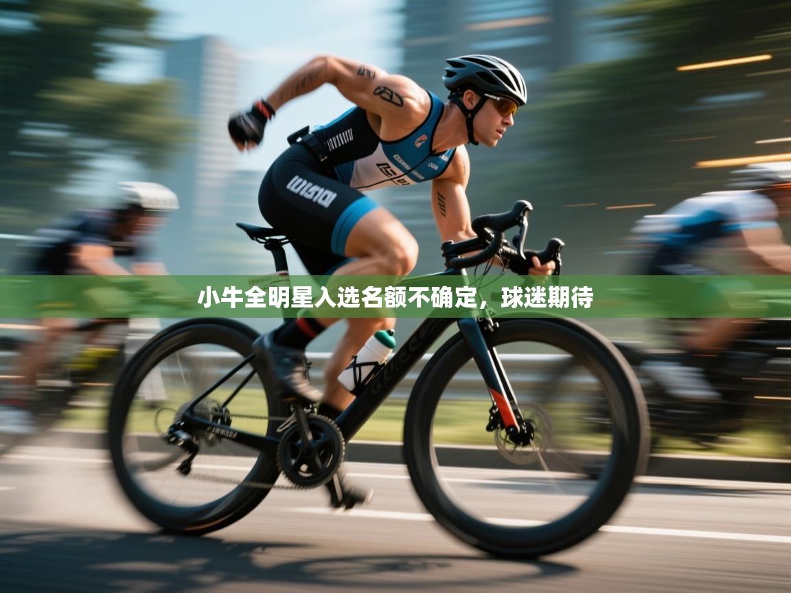 小牛全明星入选名额不确定，球迷期待  第2张