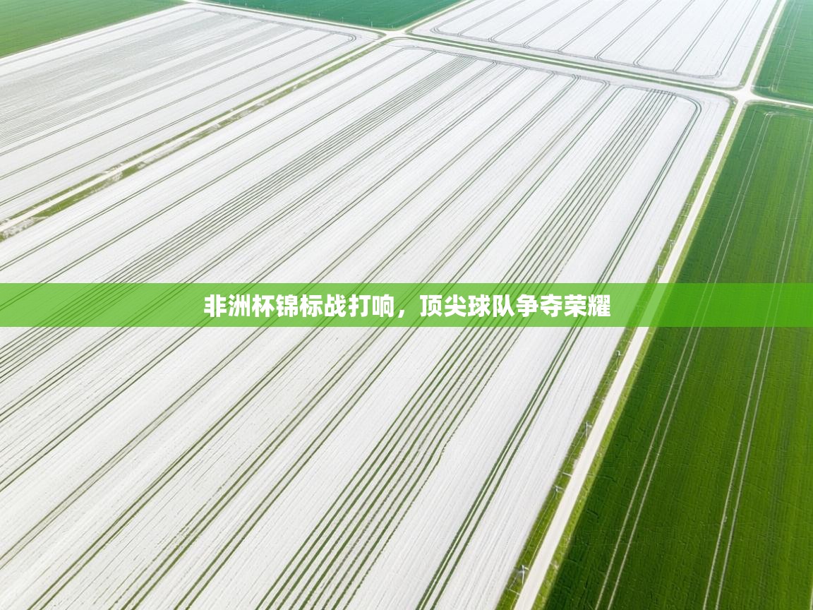 非洲杯锦标战打响，顶尖球队争夺荣耀  第2张