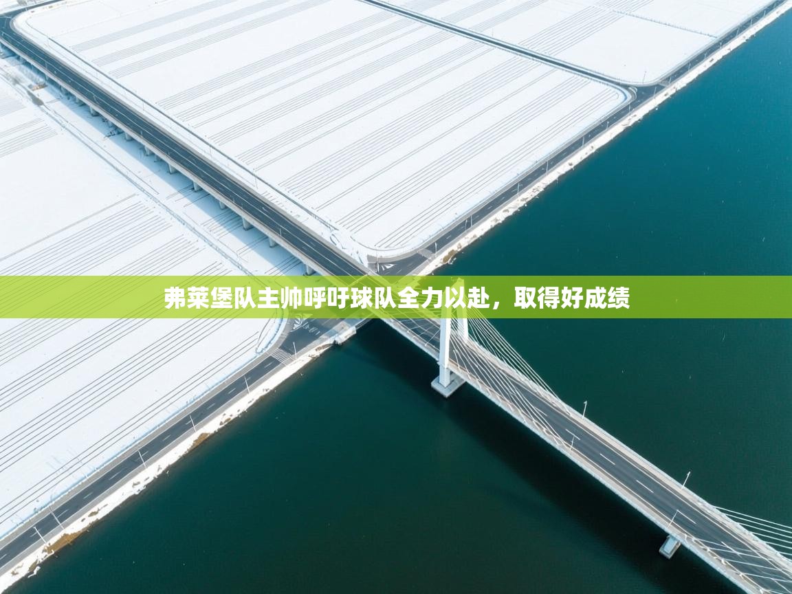 弗莱堡队主帅呼吁球队全力以赴，取得好成绩