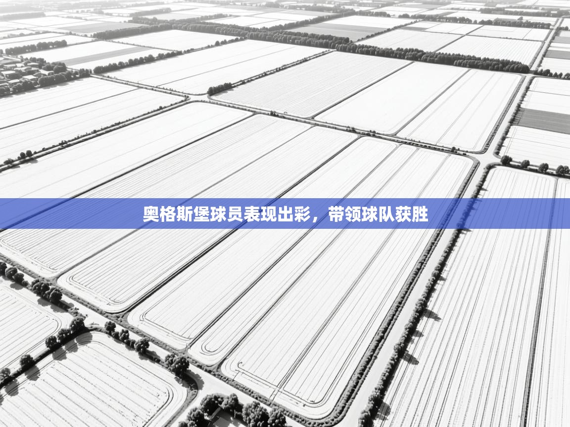 奥格斯堡球员表现出彩，带领球队获胜  第2张