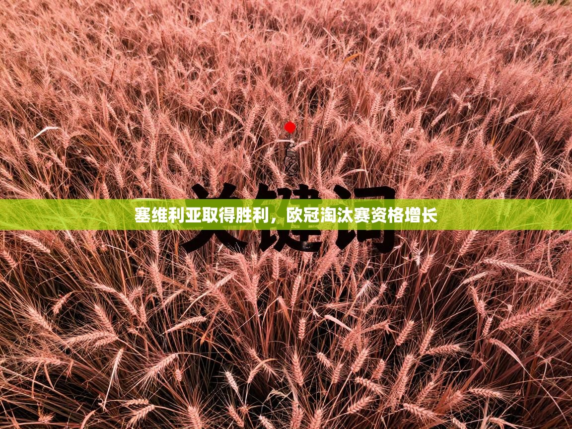 塞维利亚取得胜利，欧冠淘汰赛资格增长  第2张