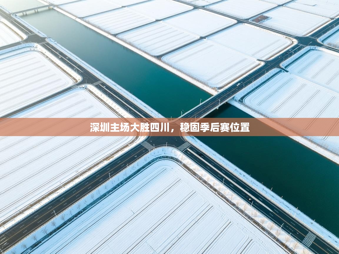 深圳主场大胜四川，稳固季后赛位置  第1张