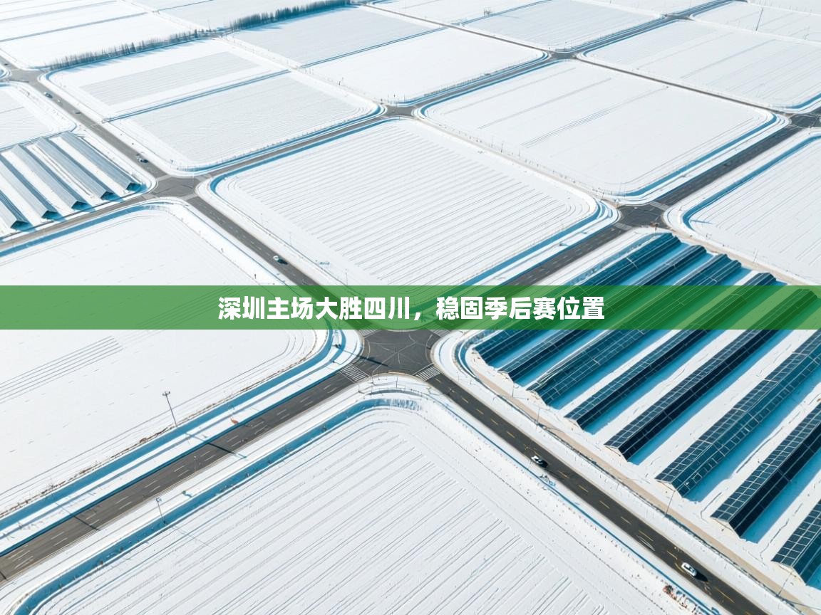 深圳主场大胜四川，稳固季后赛位置  第2张