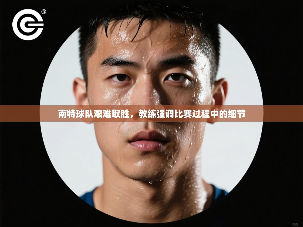 南特球队艰难取胜，教练强调比赛过程中的细节  第1张