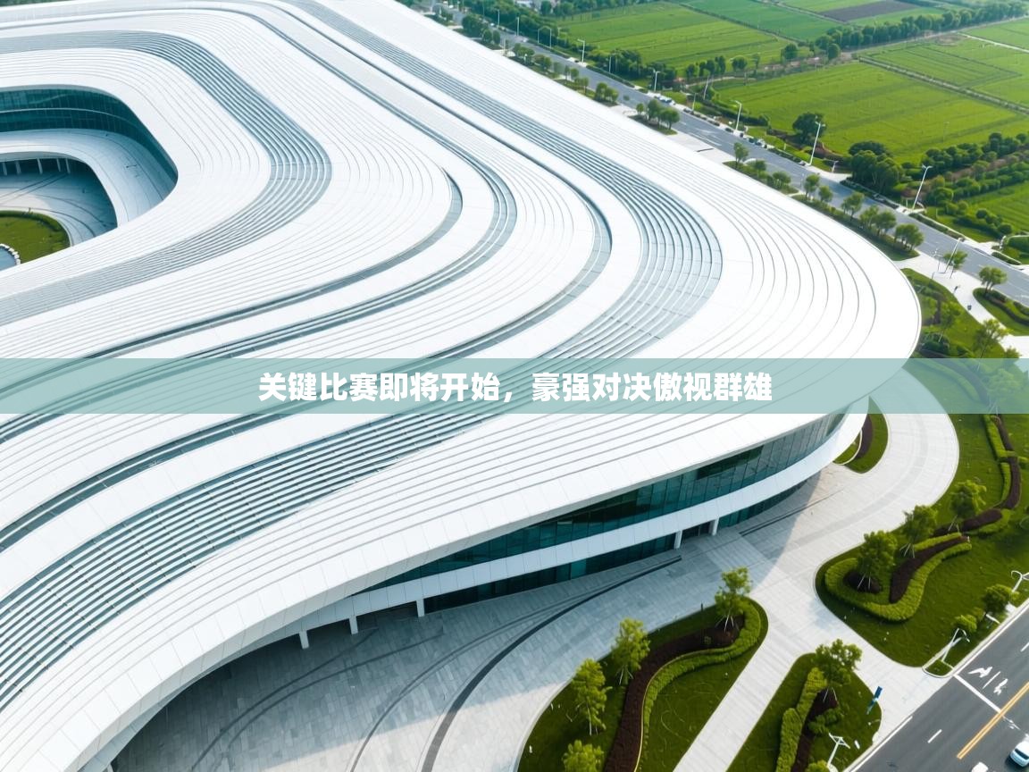 关键比赛即将开始，豪强对决傲视群雄